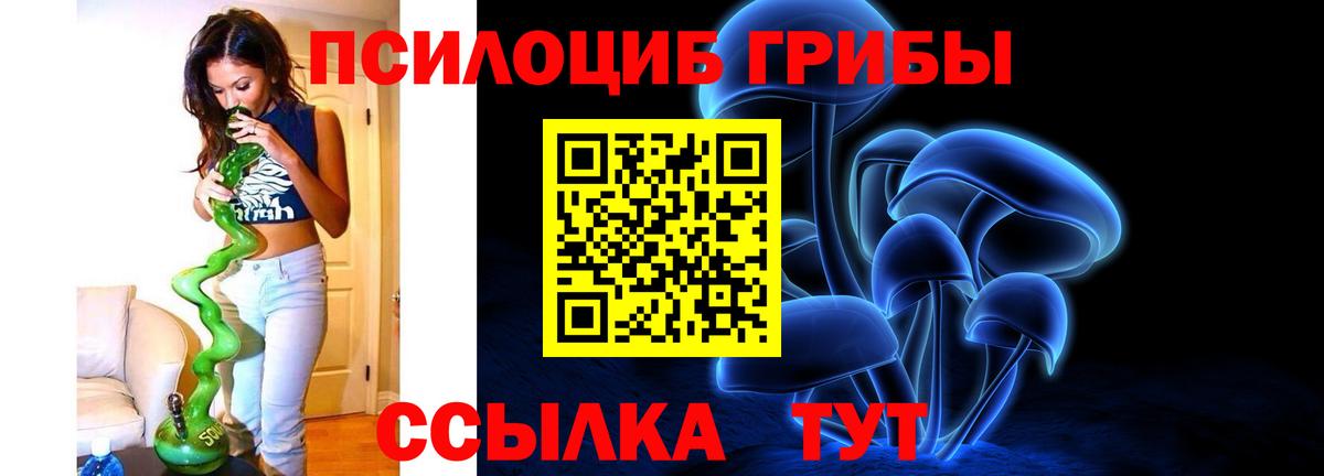 Вязники  Псилоцибиновые грибы Cubensis  Вход с VPN  Псилоцибиновые грибы MAGIC MUSHROOMS 